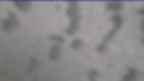 20230406_072106.jpg 