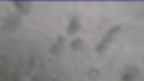 20230406_084116.jpg 