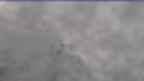 20230408_064126.jpg 