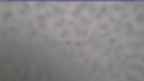 20230412_060119.jpg 