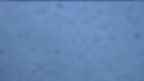 20230415_052052.jpg 