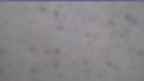 20230415_060051.jpg 