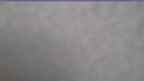 20230415_082107.jpg 