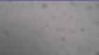 20230416_064107.jpg 