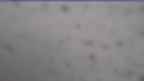20230416_070134.jpg 