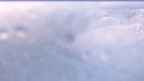 20230418_052059.jpg 
