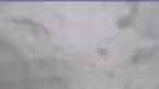 20230426_054115.jpg 
