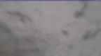 20230426_060114.jpg 