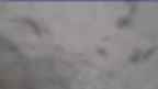 20230426_064120.jpg 