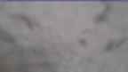 20230426_070136.jpg 