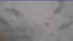 20230426_074137.jpg 