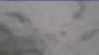 20230426_082124.jpg 