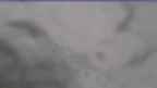 20230426_084139.jpg 