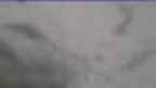 20230426_090143.jpg 