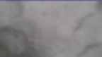20230426_104151.jpg 