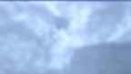 20230427_052058.jpg 