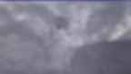20230427_062106.jpg 
