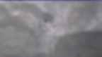 20230427_064104.jpg 