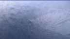 20230511_044104.jpg 