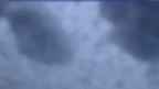 20230515_050108.jpg 