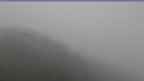 20230522_064111.jpg 