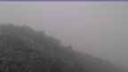 20230616_052058.jpg 