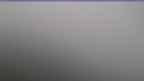 20230712_082136.jpg 
