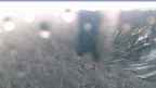 20230717_044052.jpg 