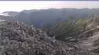 20230806_044051.jpg 