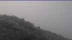 20230923_060058.jpg 