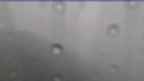 20230927_090118.jpg 
