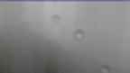 20230928_082126.jpg 