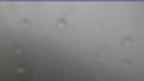 20230928_094136.jpg 