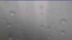 20230928_110126.jpg 