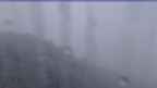 20231005_054114.jpg 