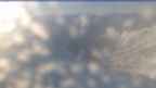 20231017_064117.jpg 