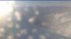 20231017_070133.jpg 