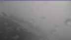 20231107_140103.jpg 