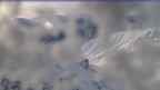 20240122_080131.jpg 
