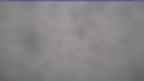 20240207_074122.jpg 