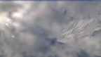 20240224_074120.jpg 