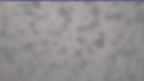 20240301_094126.jpg 