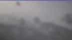 20240302_082128.jpg 