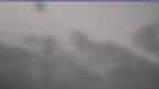 20240302_084118.jpg 