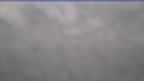 20240314_074134.jpg 