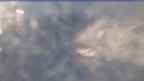 20240315_064112.jpg 