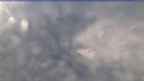 20240316_080136.jpg 