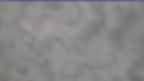 20240329_110134.jpg 