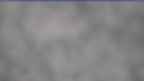 20240331_084127.jpg 