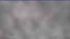 20240401_062125.jpg 
